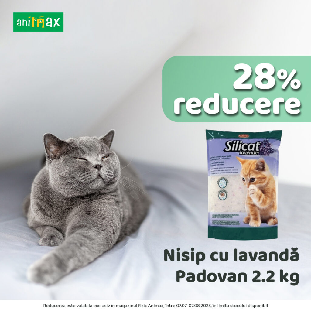 -28% la Animax