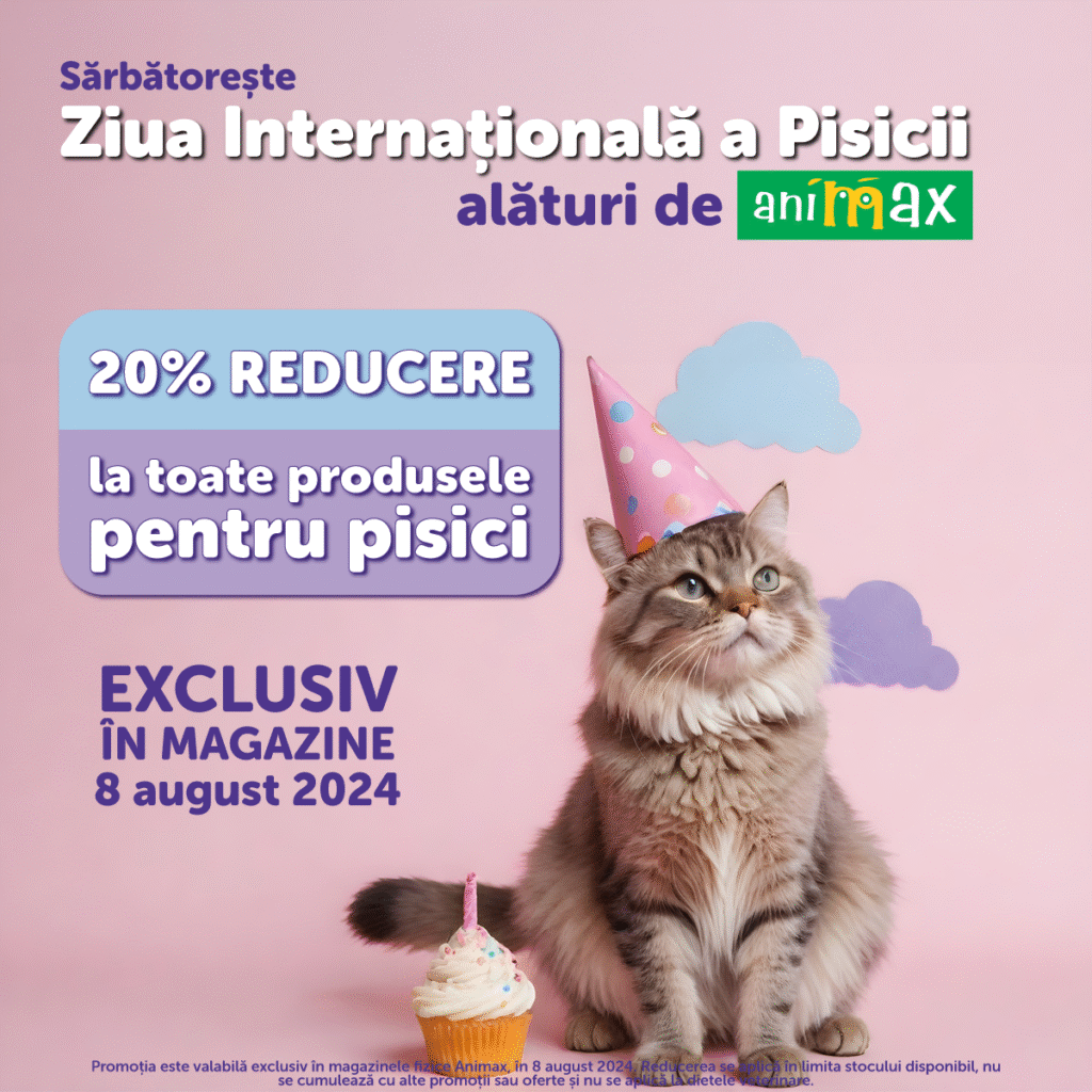 -20% la produsele pentru pisici