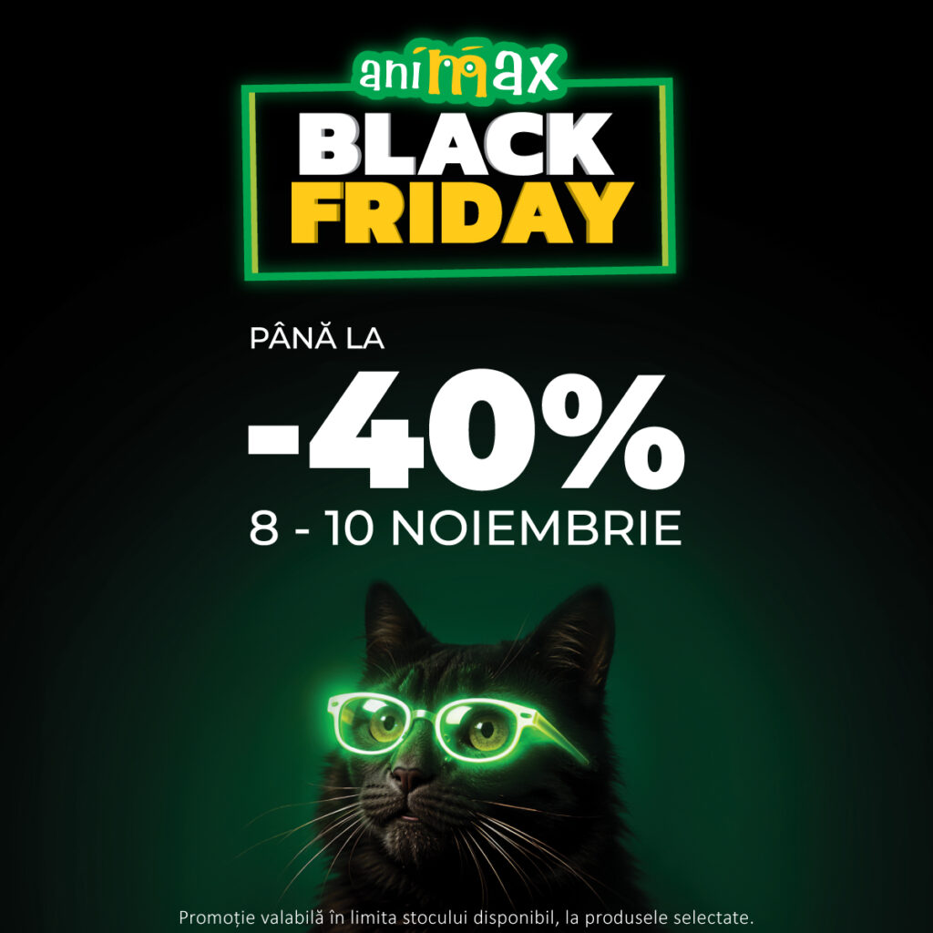 Black Friday la Animax!