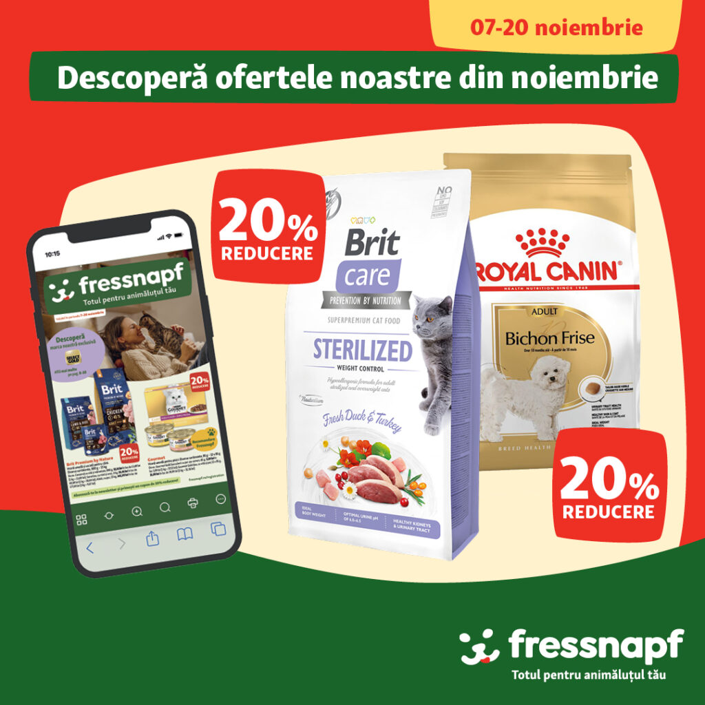 Hello noiembrie! Avem oferte proaspete pentru toți!