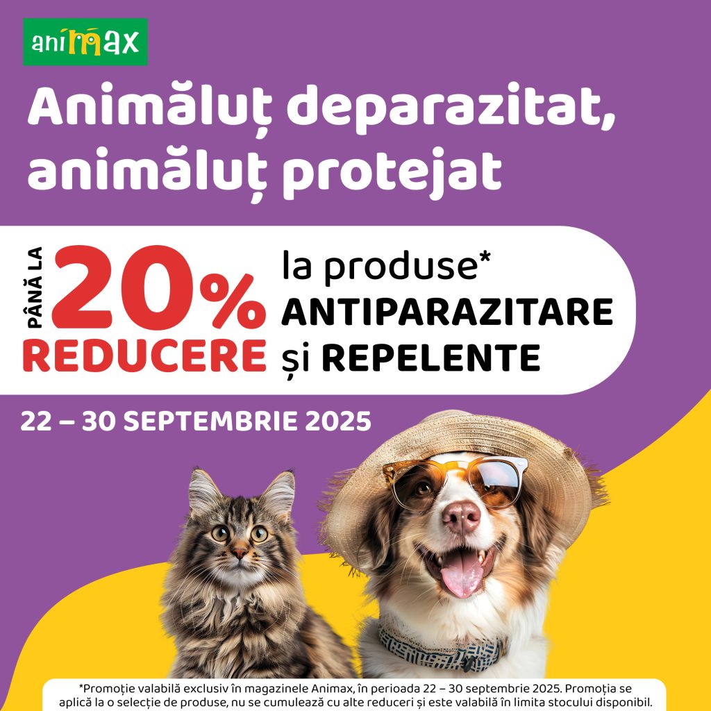 Descoperă ofertele Animax!